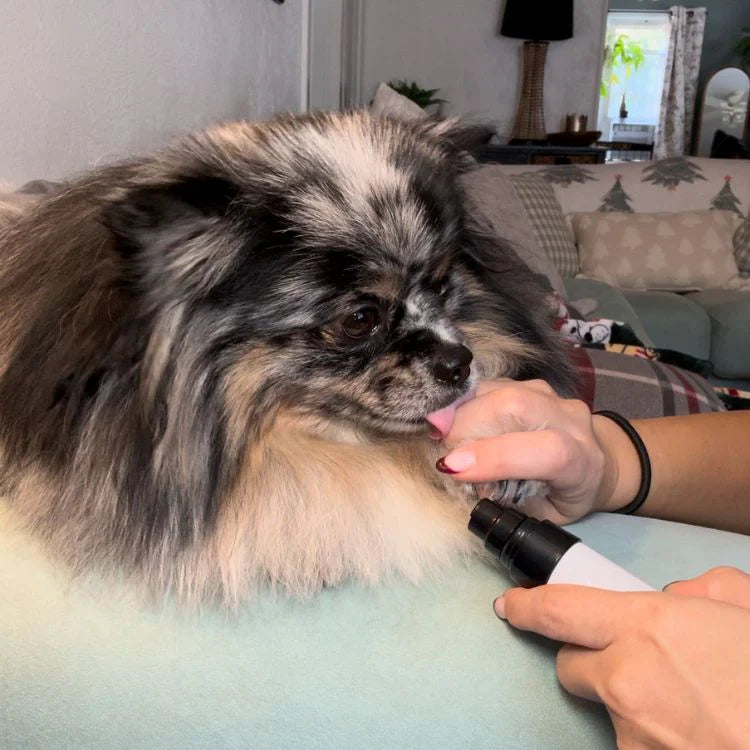 電動犬猫爪切り
