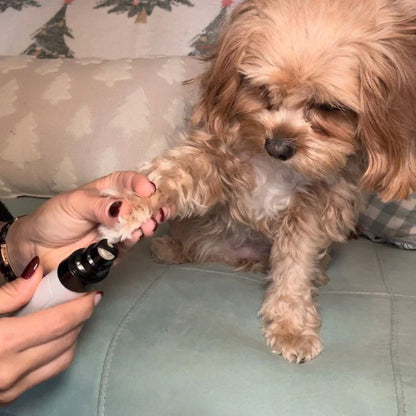 電動犬猫爪切り